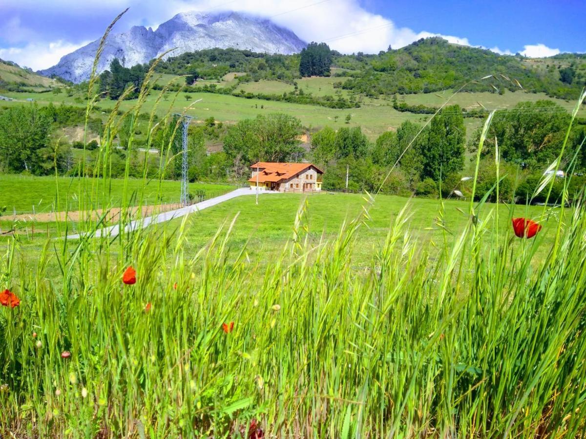 Casa Santa Leocadia Villa Tama Bagian luar foto